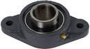 1 INCH 2 HOLE CAST IRON BEARING AND HOUSING - WITH SET SCREW SHAFT